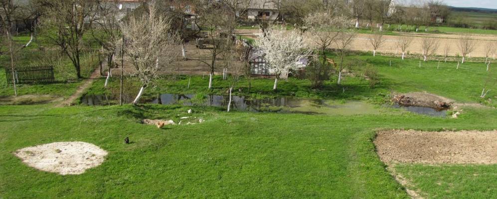 
            Фотография Куты