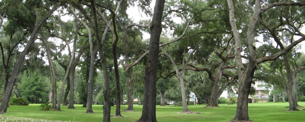 
            Фотография Пайн Касла