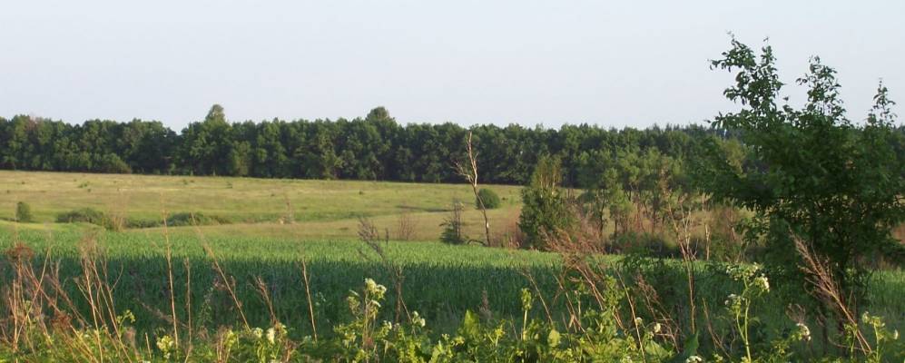 Фотография Жуково