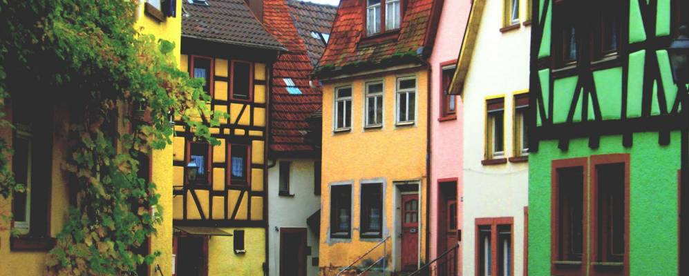 
            Фотография Лора