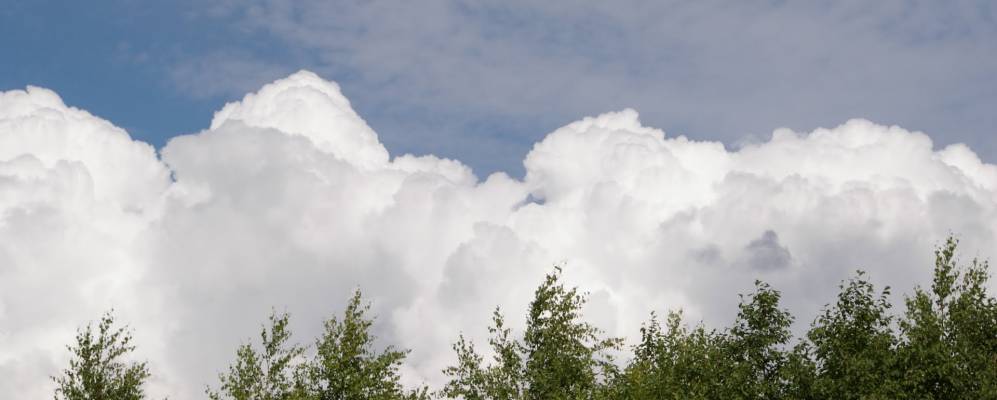 
            Фотография Голышкино