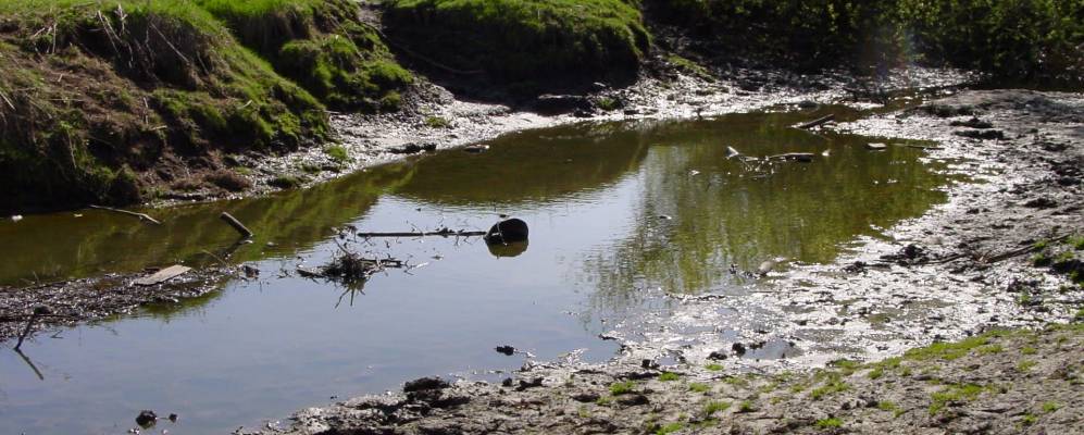 
            Фотография Изова