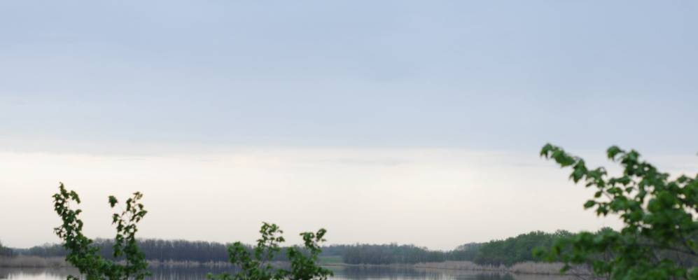 
            Фотография Нехворощанки