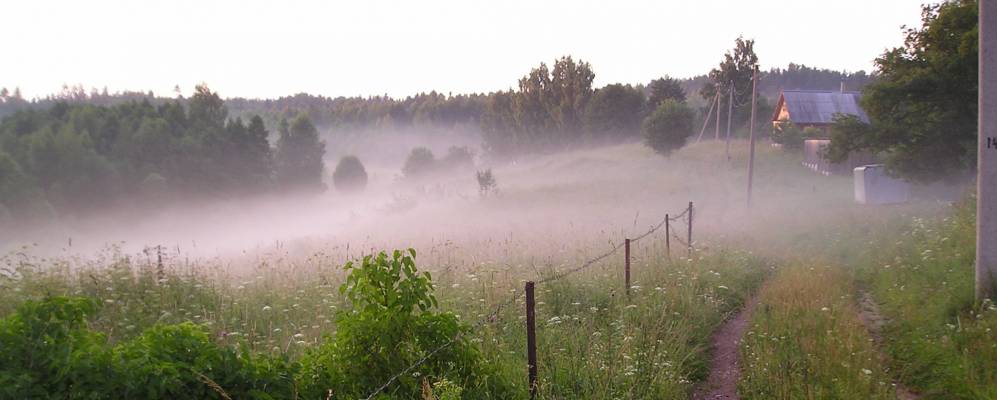 
            Фотография Ломижено