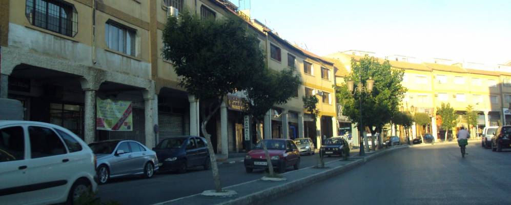 
            Фотография Сетифа