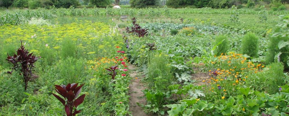 Фотография Заречья