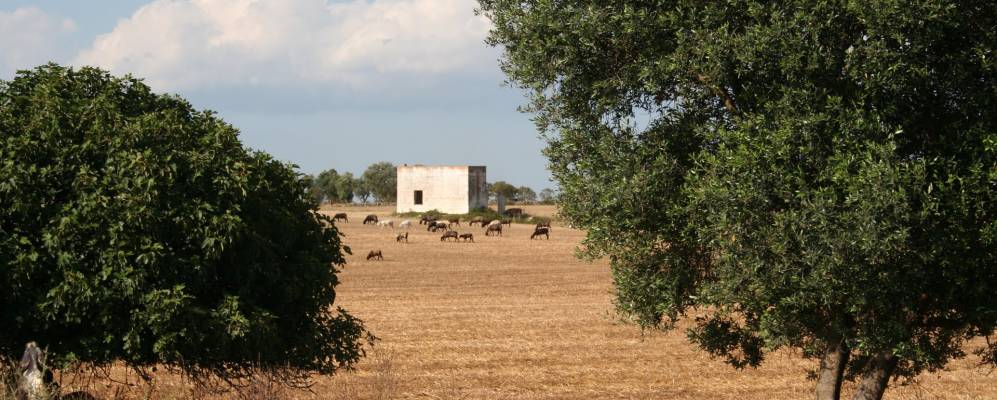
            Фотография Вилладжо-Ресты