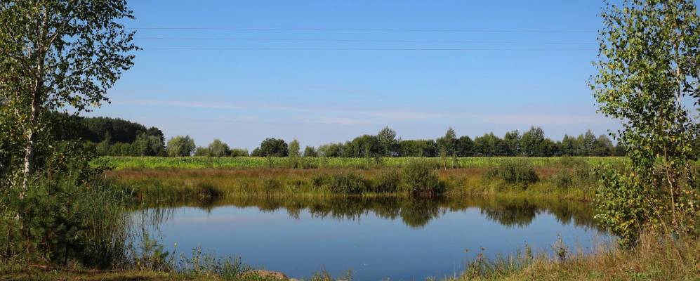 Фотография Задоровки