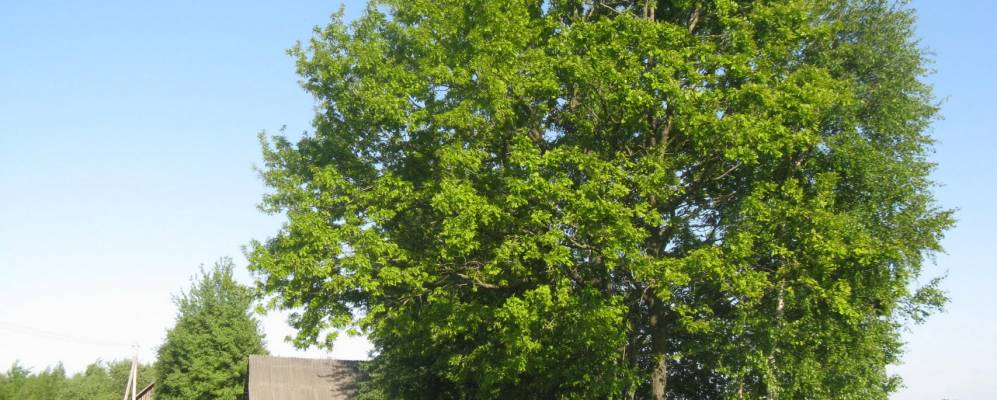 Фотография Михайловщины