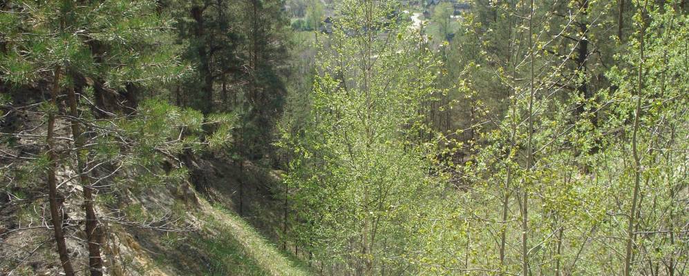 
            Фотография Вичкилея