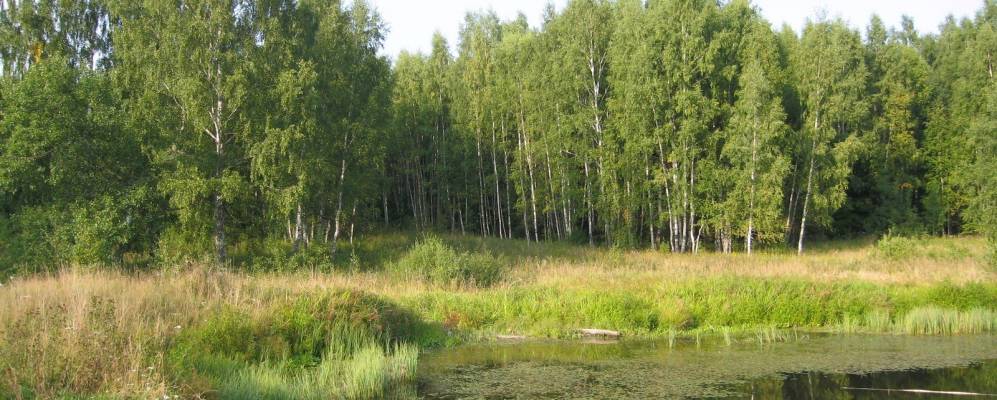 
            Фотография Кудрино