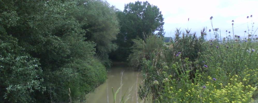 Фотография Уетор - Тахара