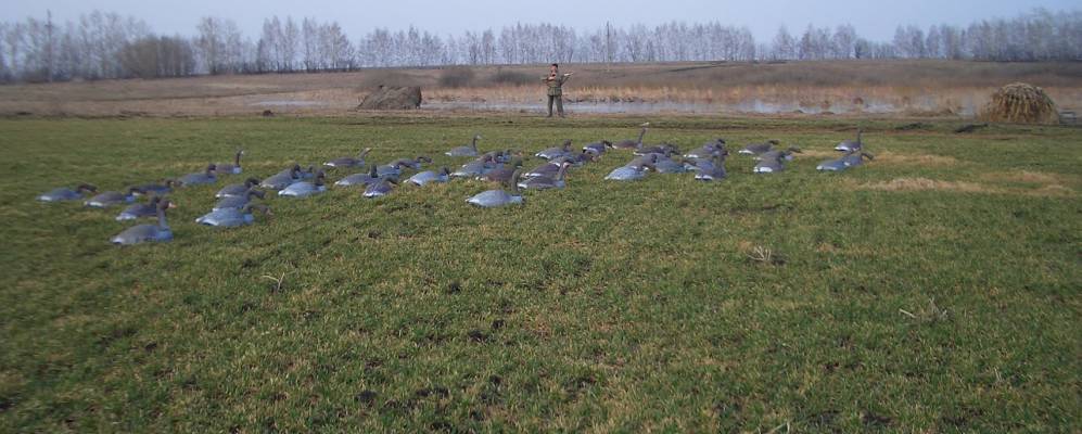 
            Фотография Широкого