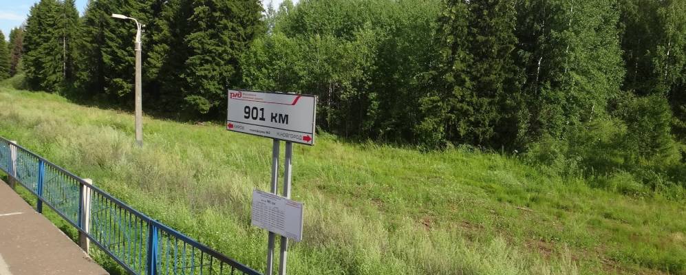 
            Фотография Бороничей