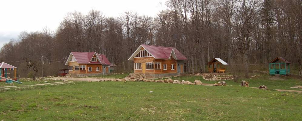 Фотография Камышанова