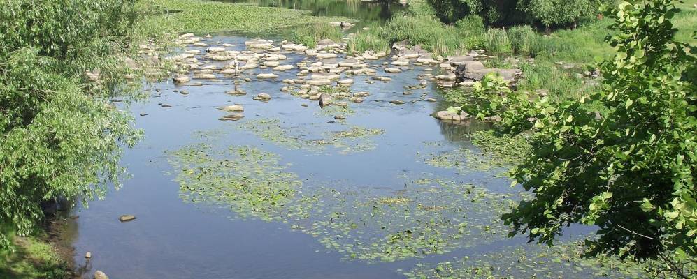 
            Фотография Фесюры