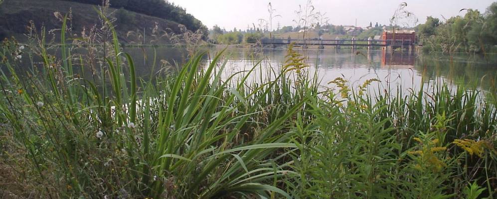 Фотография Майдана-Бобрика