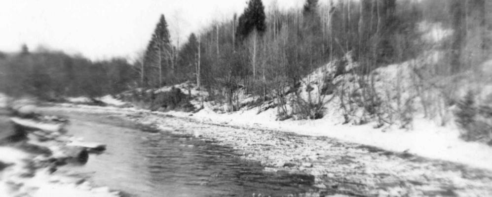 
            Фотография Михалево