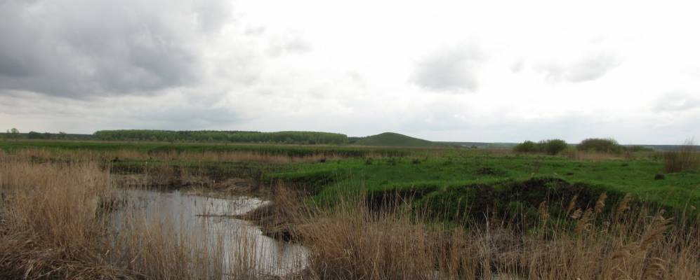 
            Фотография Погромка