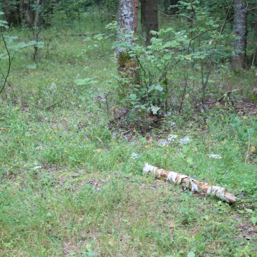 Балахониха