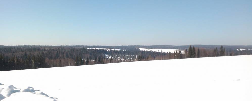 
            Фотография Симаново