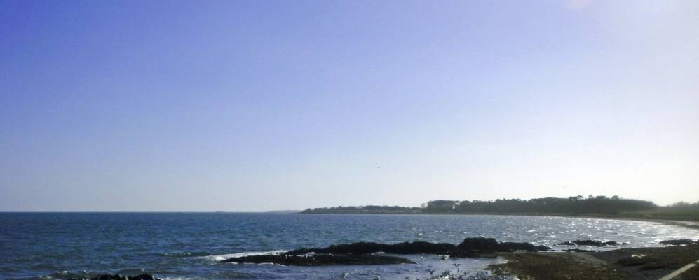 
            Фотография Боллиуолтера