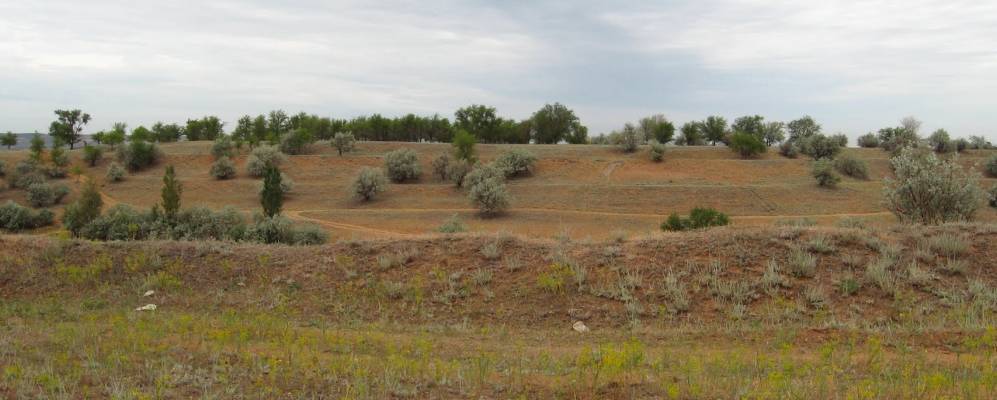 
            Фотография Солодушино