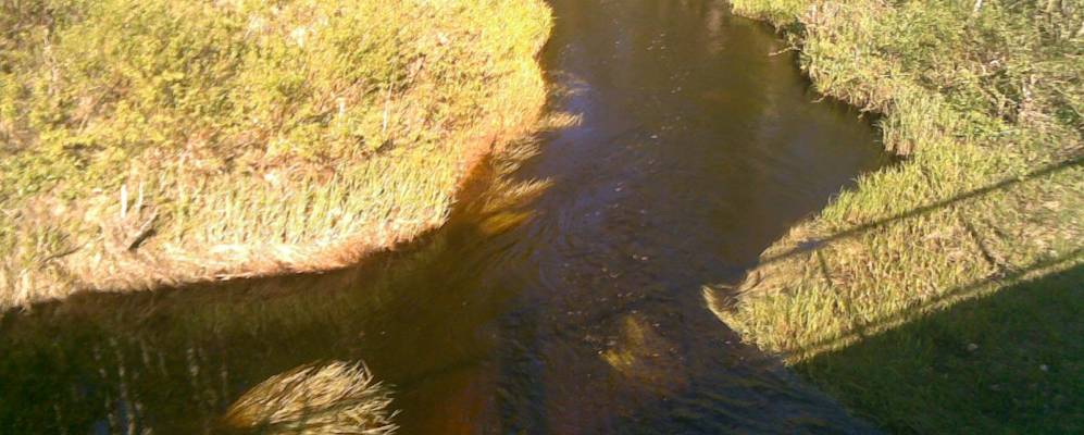 
            Фотография Печениц