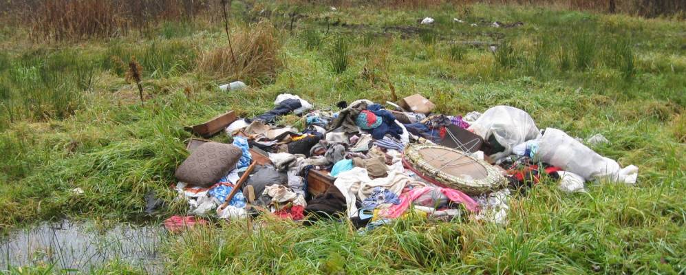 
            Фотография Старого Бора