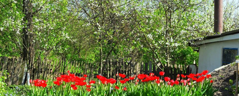 
            Фотография Ерковцы