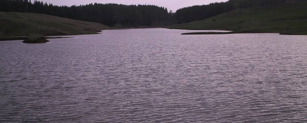 Фотография Ящерино