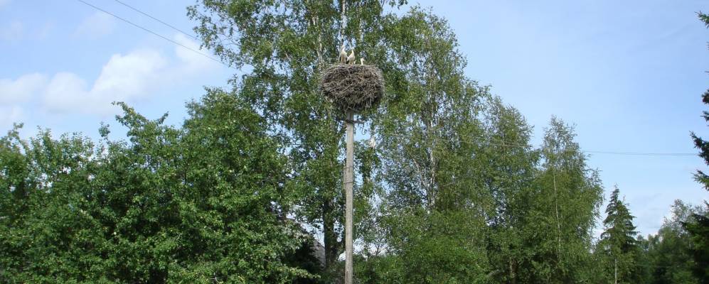 
            Фотография деревни Дворищи