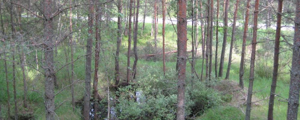 Фотография Курганов