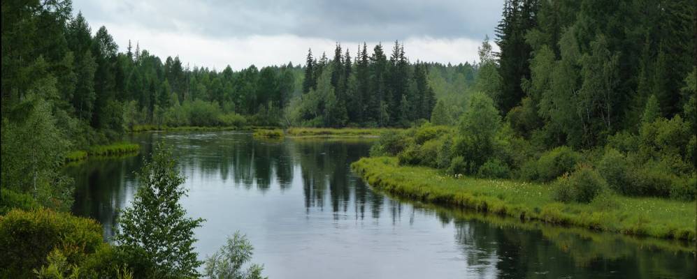 
            Фотография Шестаковы
