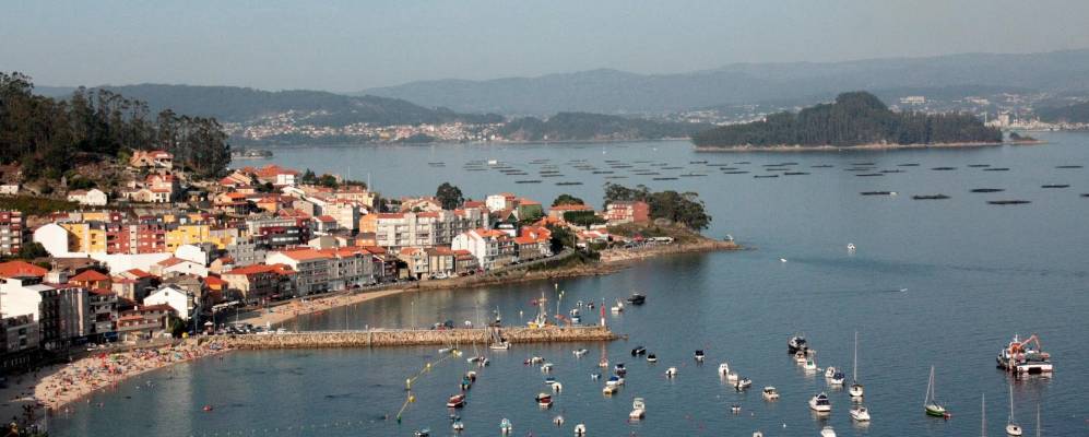 
            Фотография Гранксы