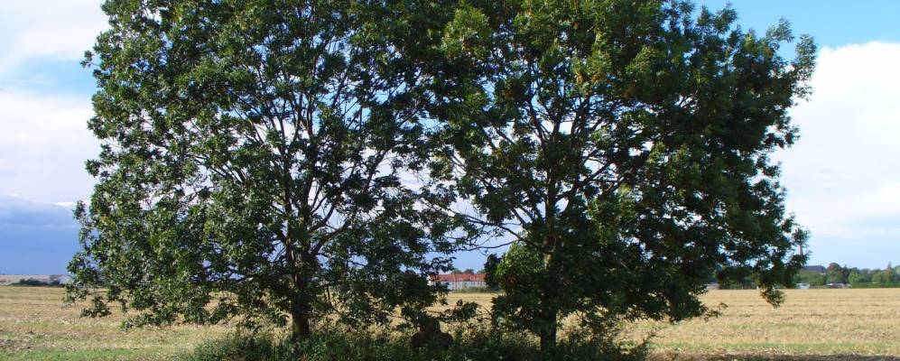 
            Фотография Нойндорфа