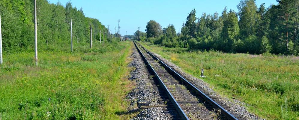 
            Фотография Копнино