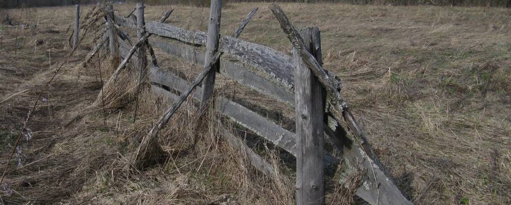 
            Фотография Алябино