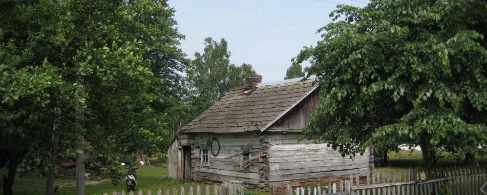 
            Фотография Боровухи