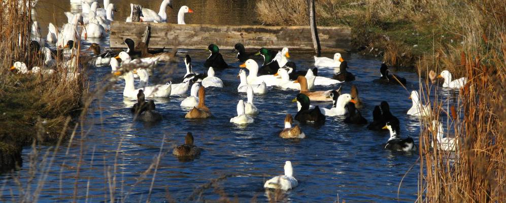 Фотография Бурхановки