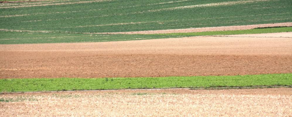 
            Фотография Лангененслингена