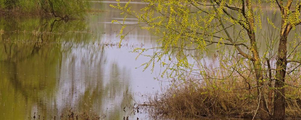 
            Фотография Обухова