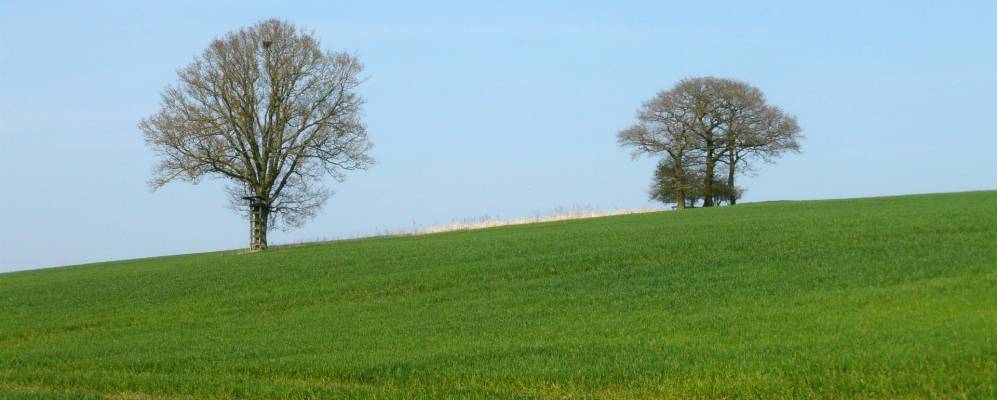 
            Фотография Даклингтона