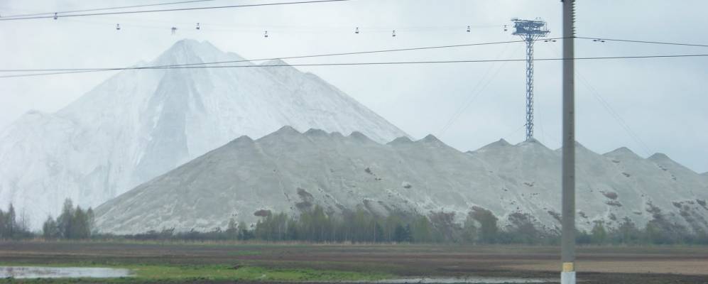 
            Фотография Лекерты