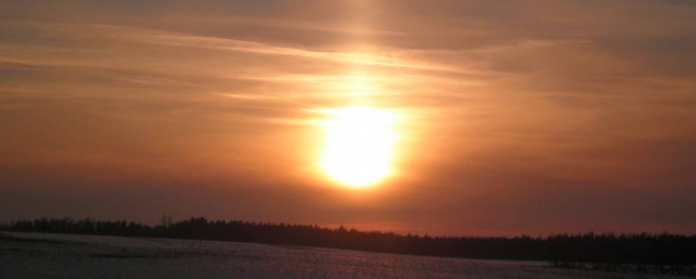 Фотография Лозовой