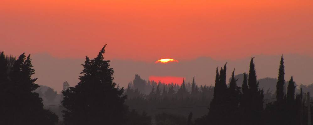 
            Фотография Пия