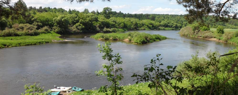 Фотография Бурого