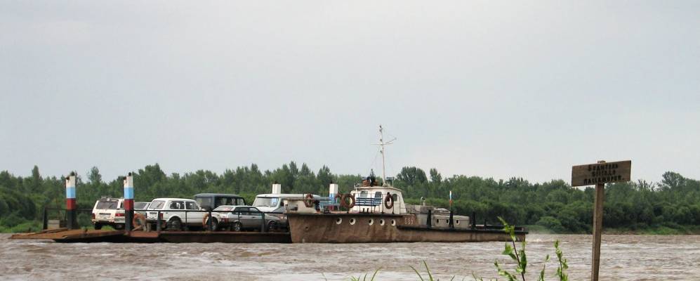 Фотография Воробьев