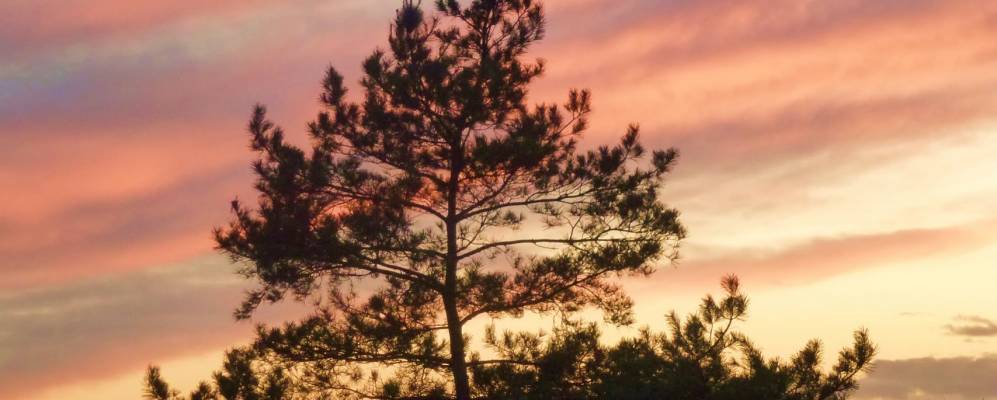 
            Фотография Калюир-э-Кюира