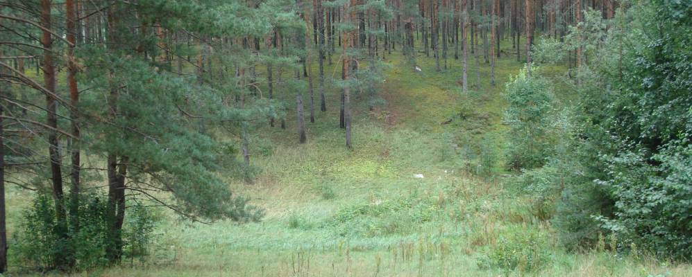 Фотография деревни Большие Рогатки